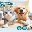 Evyap’ın Yeni Markası Pet Love
