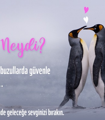 Hediyeleri Panda Dükkan’da