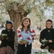 Kaz Dağları’nda Hasat Heyecanı Yaşandı
